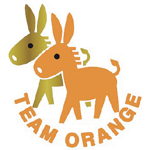 TEAM ORANGE