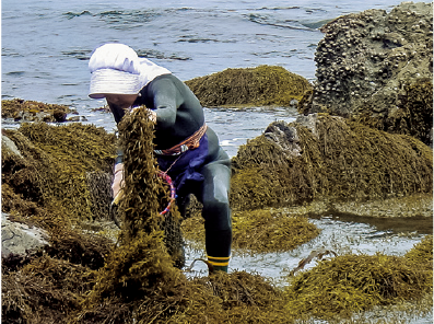 北村物産株式会社